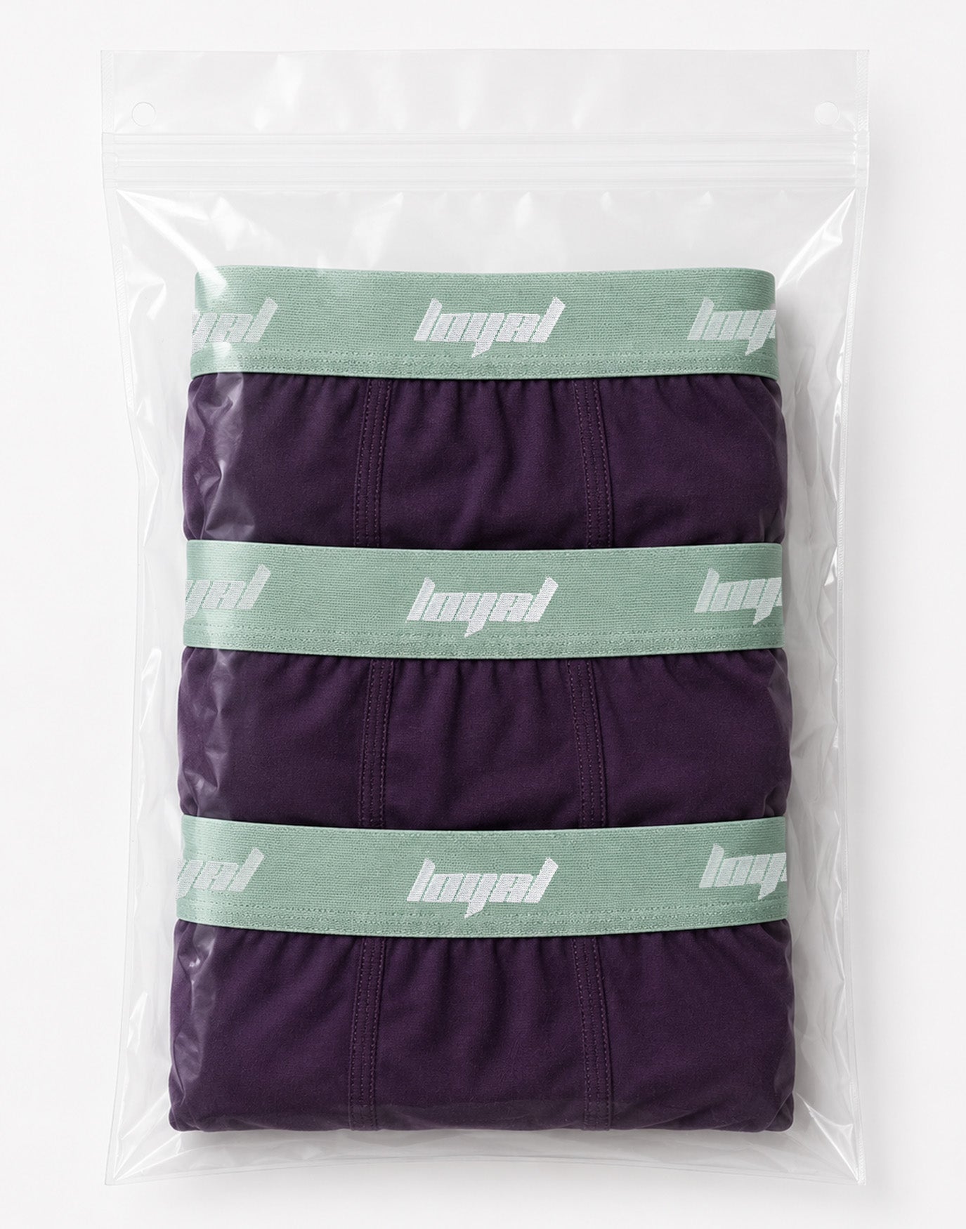 Classic Logo Boxershorts Purple