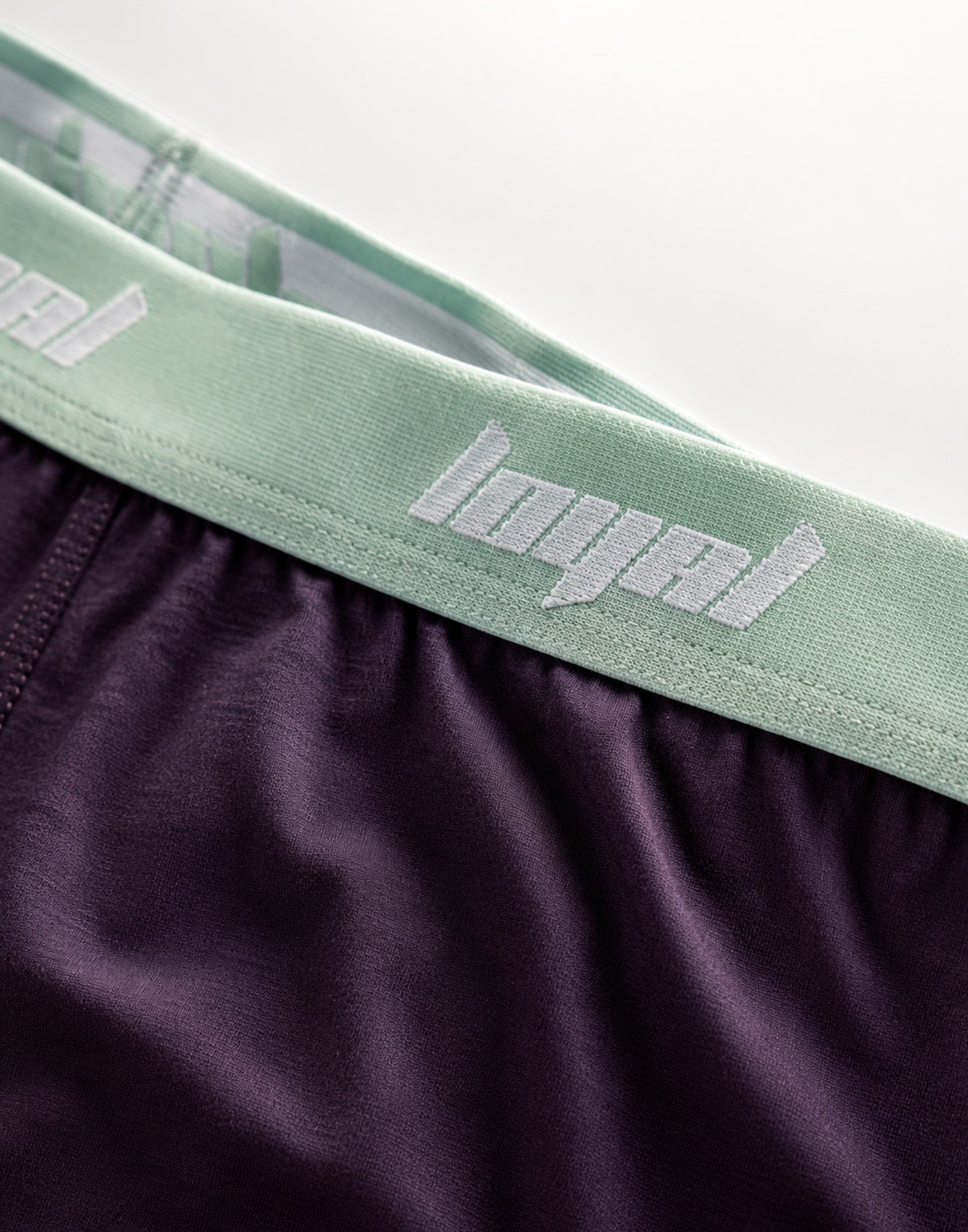Classic Logo Boxershorts Purple